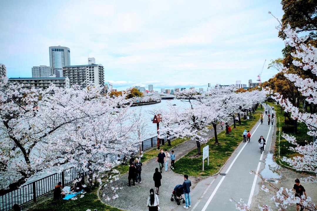 Photo of Others in Miyakojima