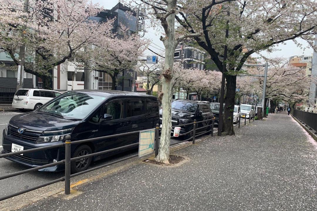 Photo of Others in Kitaotsuka