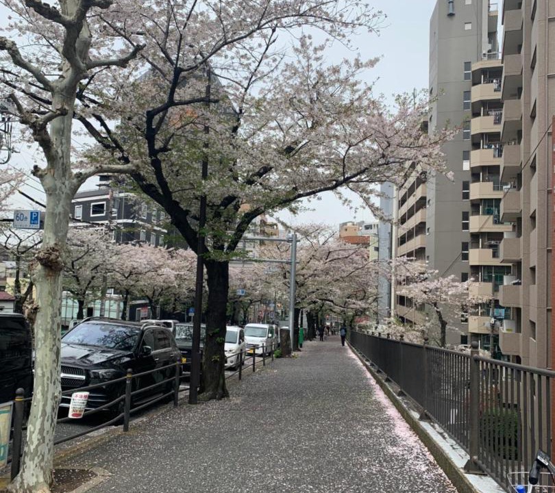 Photo of Others in Kitaotsuka