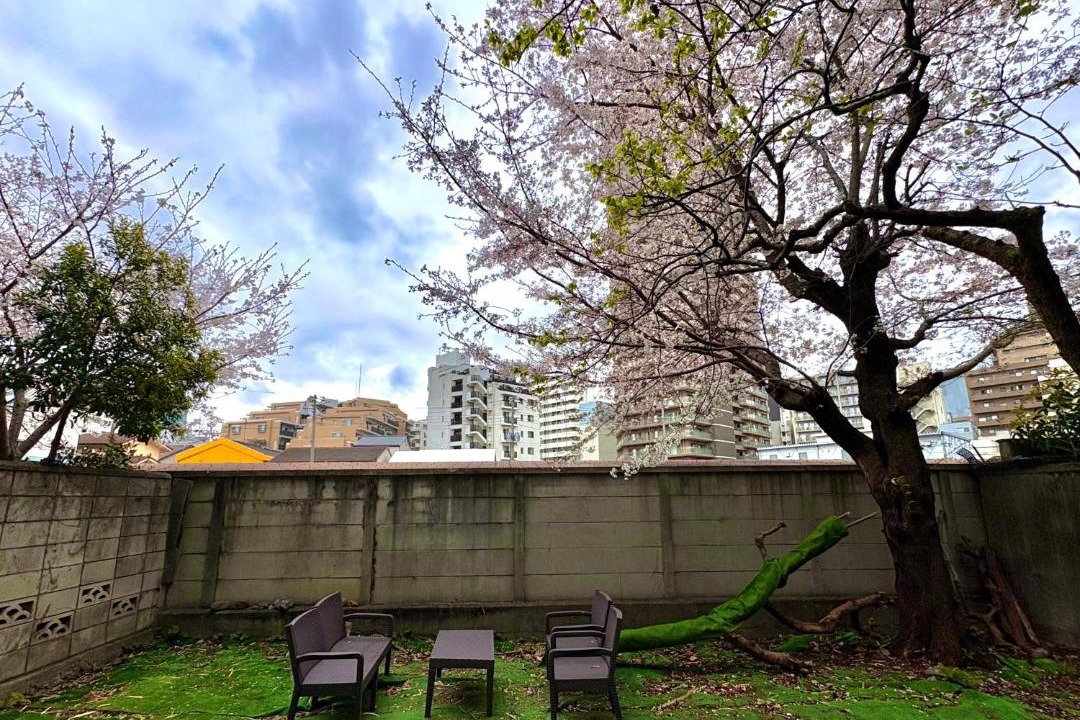 Photo of Others in Kitaotsuka