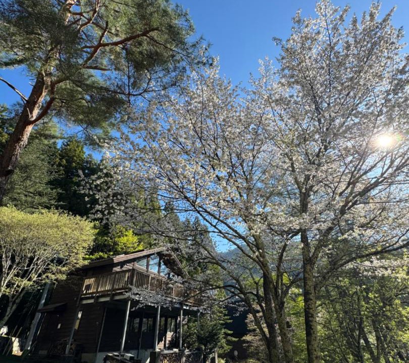 Photo of Others in Fujikawaguchiko
