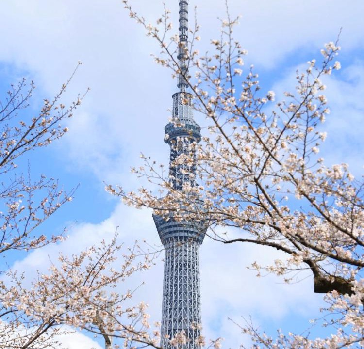 Photo of Others in Nishiasakusa