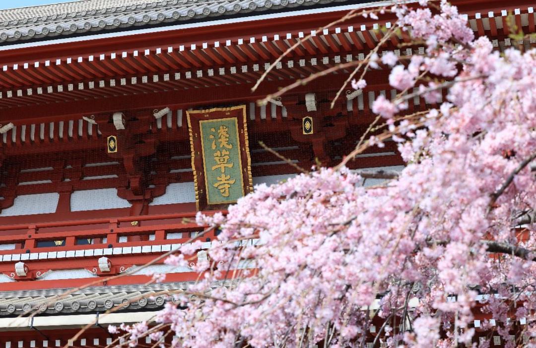 Photo of Others in Nishiasakusa