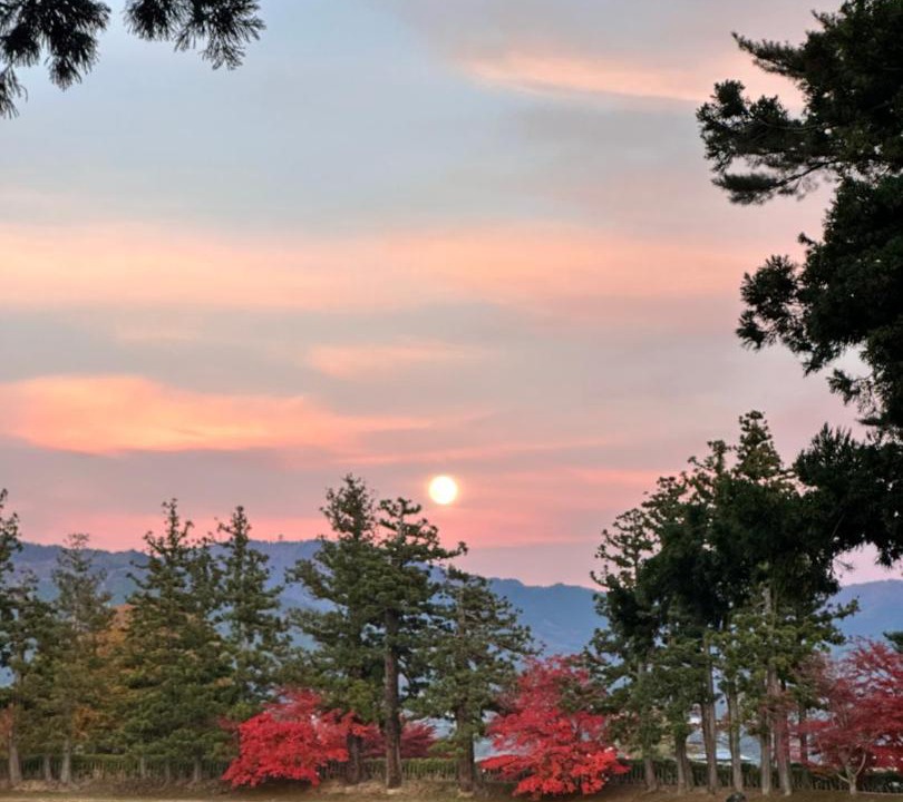 Photo of Others in Hiraizumi