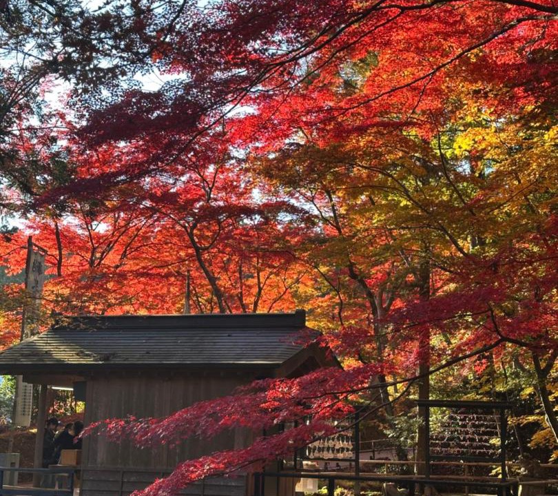 Photo of Others in Hiraizumi