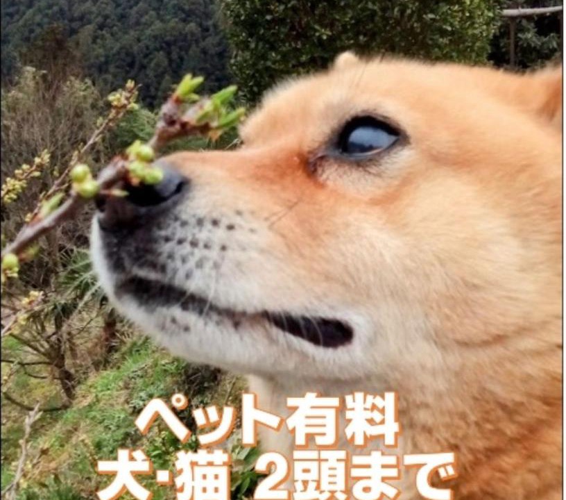 Photo of Others in Shikokuchuo
