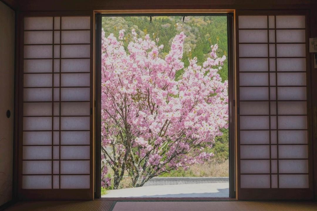 Photo of Others in Shikokuchuo