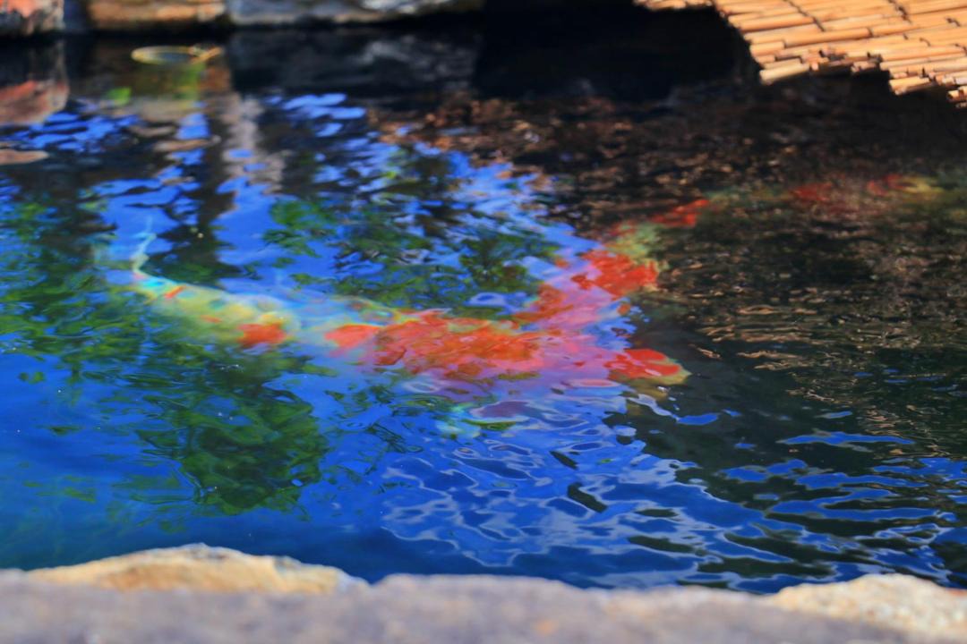 Photo of Others in Utazu-cho