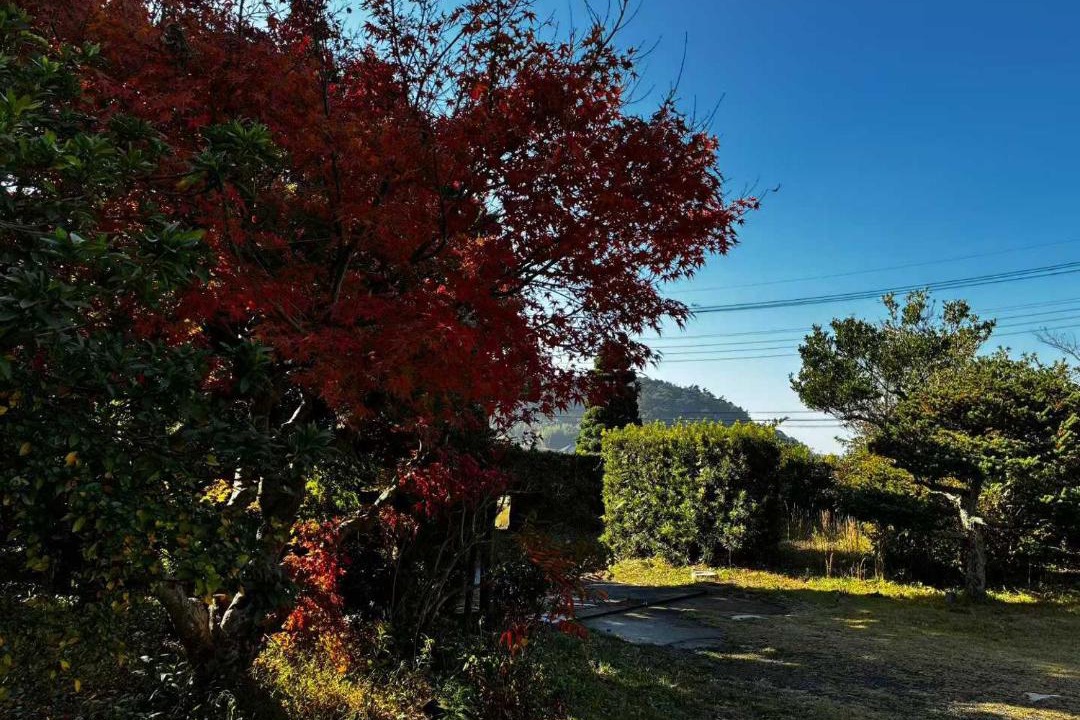 Photo of Outdoor in Katori