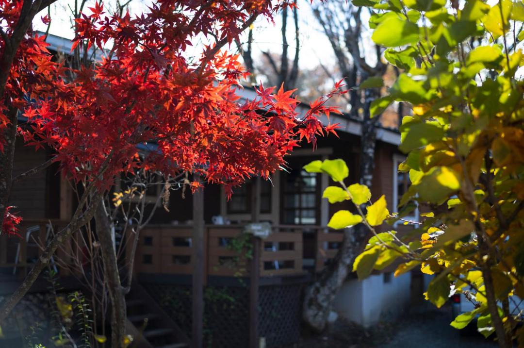 Photo of Others in Nasu
