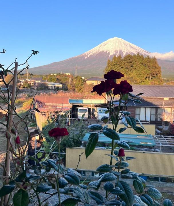 Photo of Others in Fujinomiya