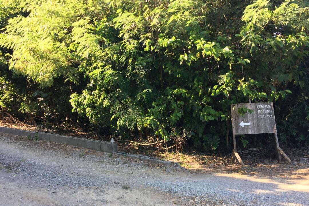 Photo of Others in Motobu