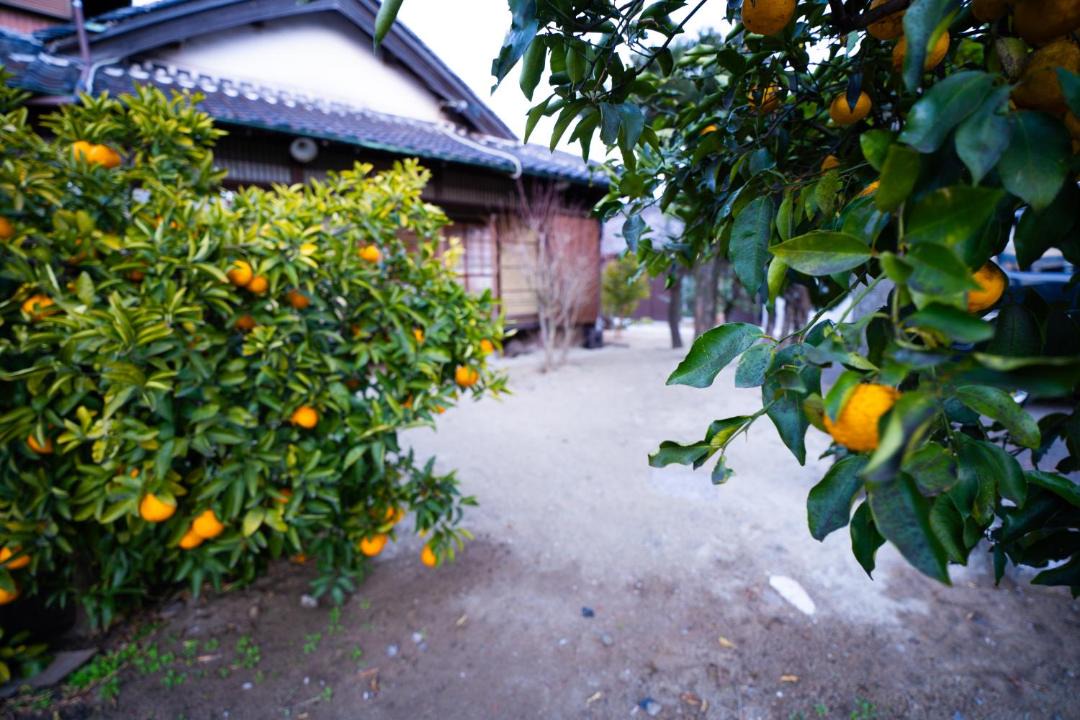 Photo of Others in Wakayama
