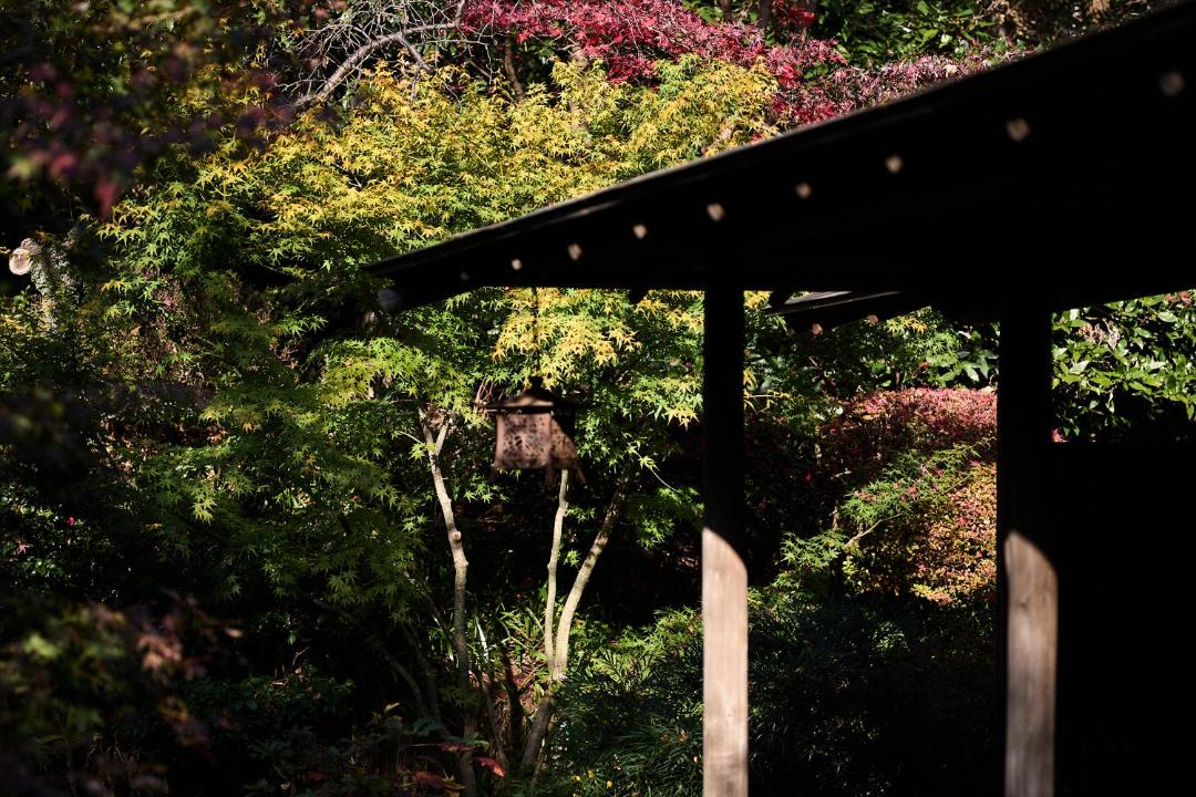 Photo of Others in Hadano