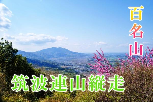 Photo of Others in Tsukuba