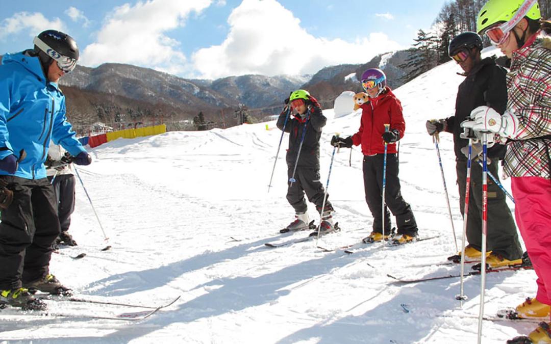 Photo of Others in Akakura