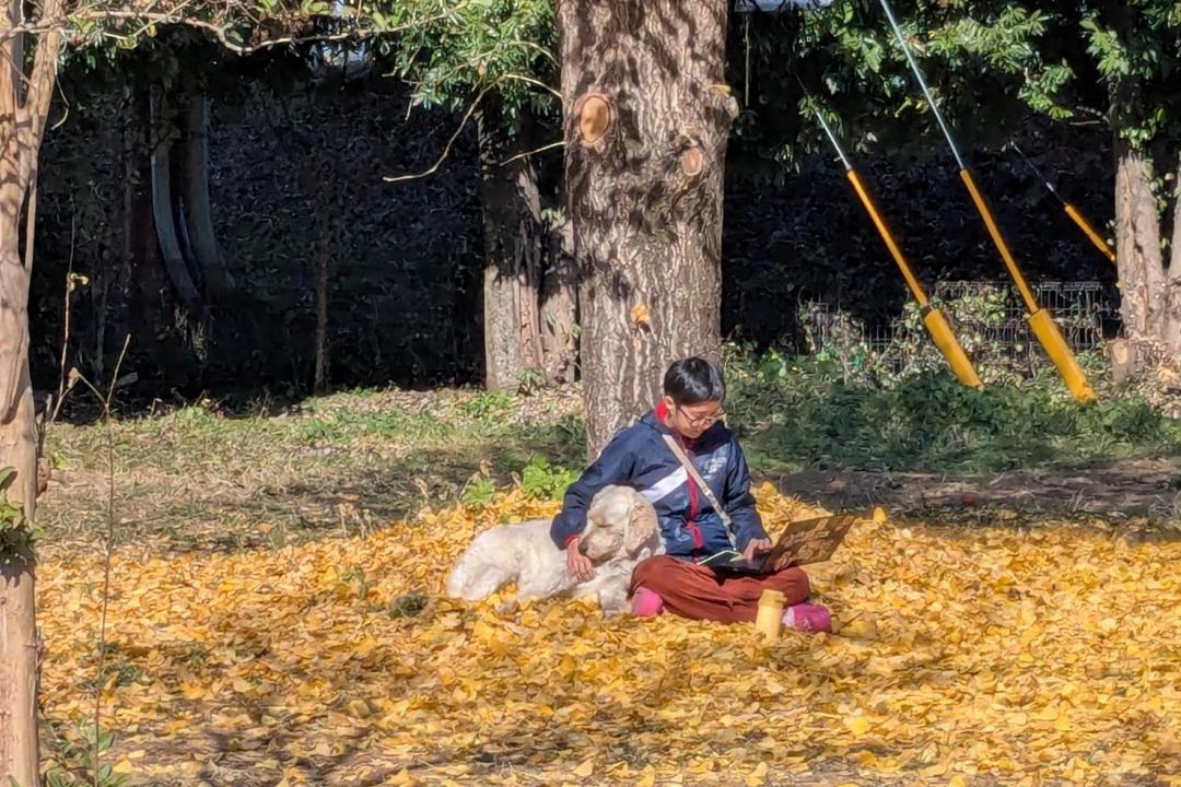 Photo of Others in Kikuchi