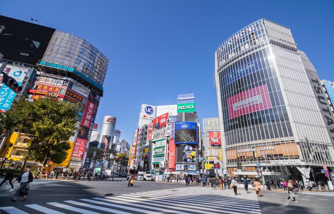 Photo of Others in Nishigotanda
