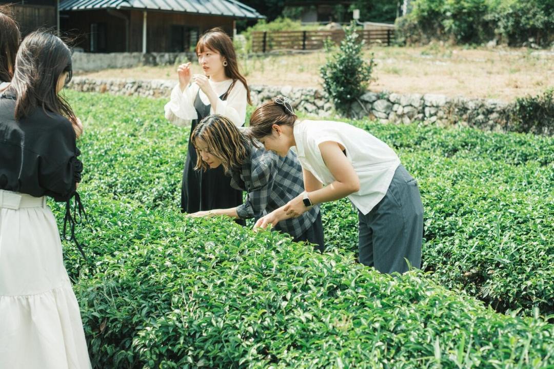 Photo of Outdoor in Okazaki