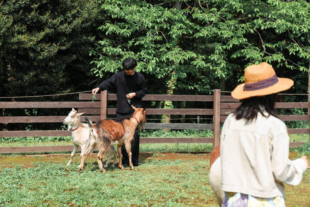 Photo of Others in Katori