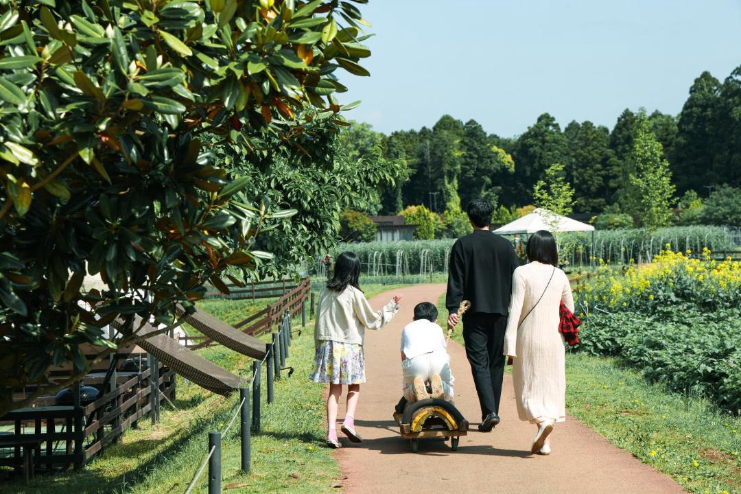 Photo of Others in Katori