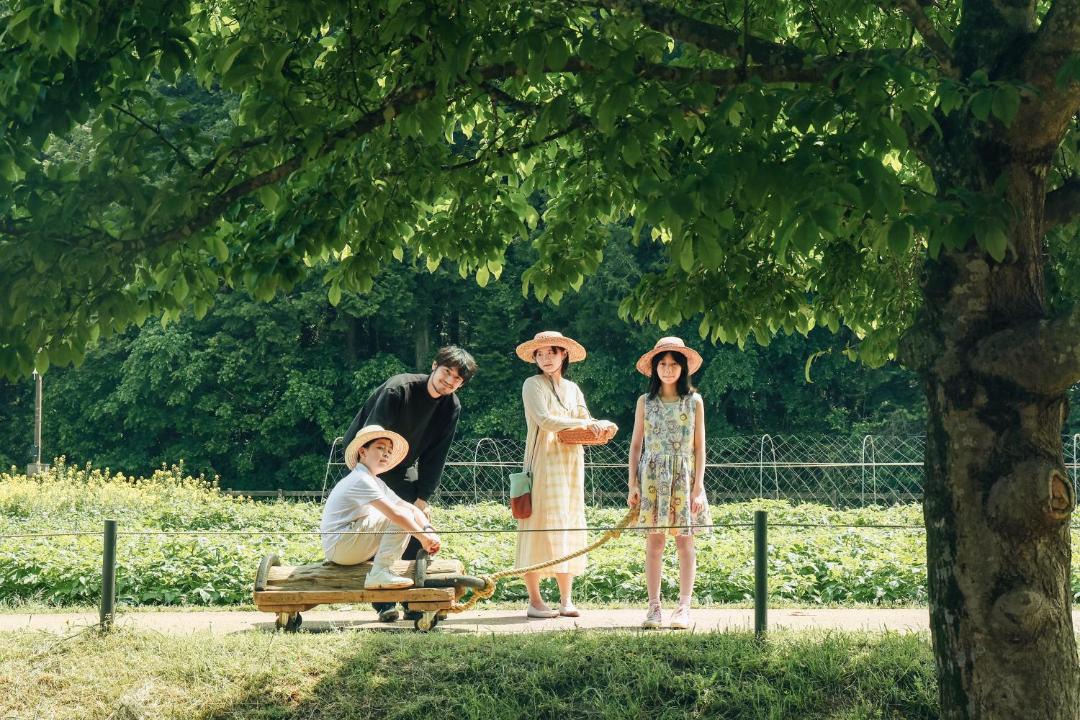 Photo of Others in Katori