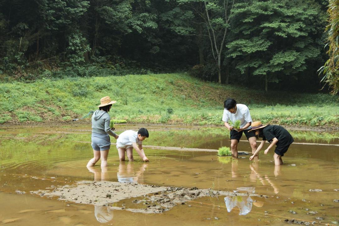 Photo of Others in Katori