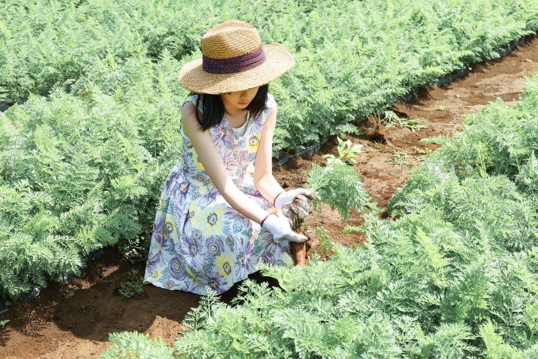 Photo of Others in Katori