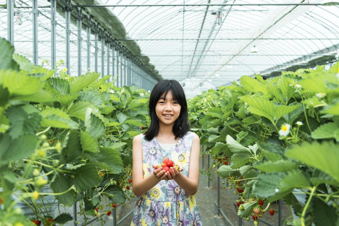 Photo of Others in Katori