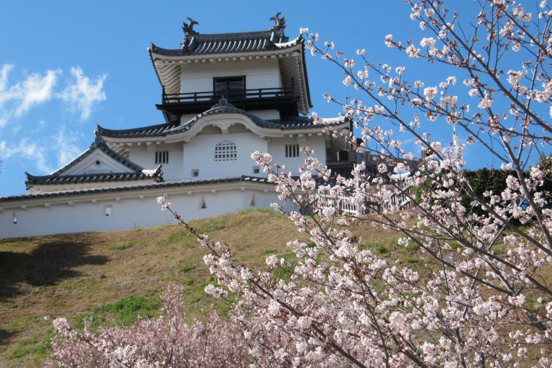 Photo of Others in Kakegawa
