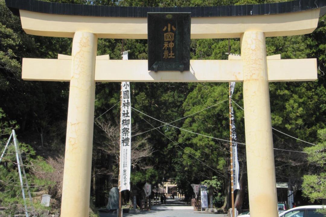 Photo of Others in Kakegawa
