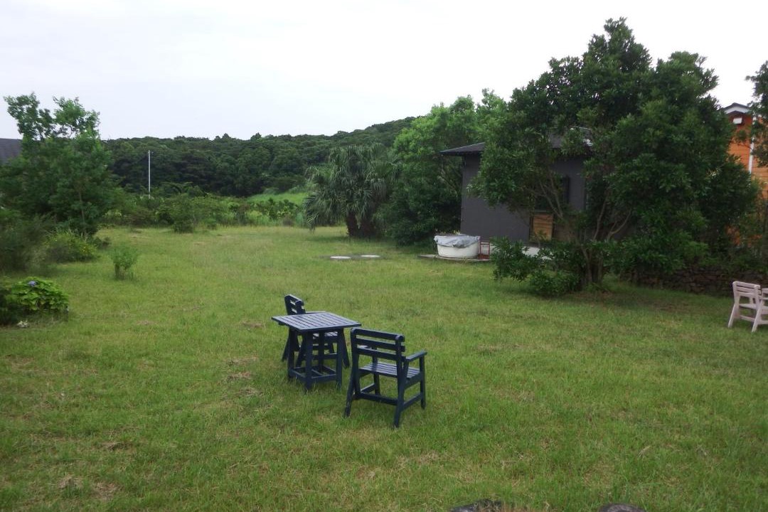 Photo of Others in Yakushima