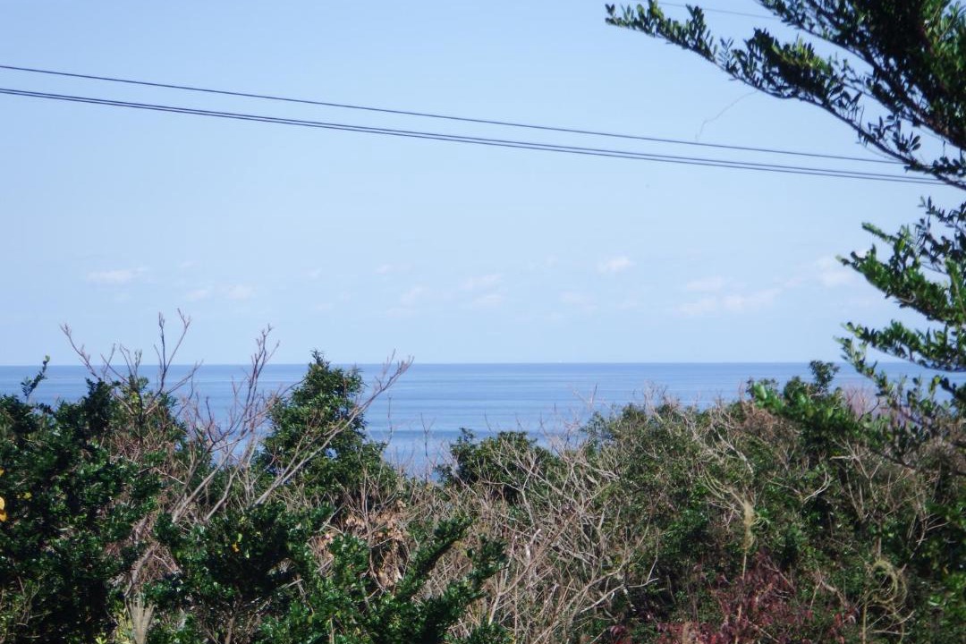 Photo of Others in Yakushima