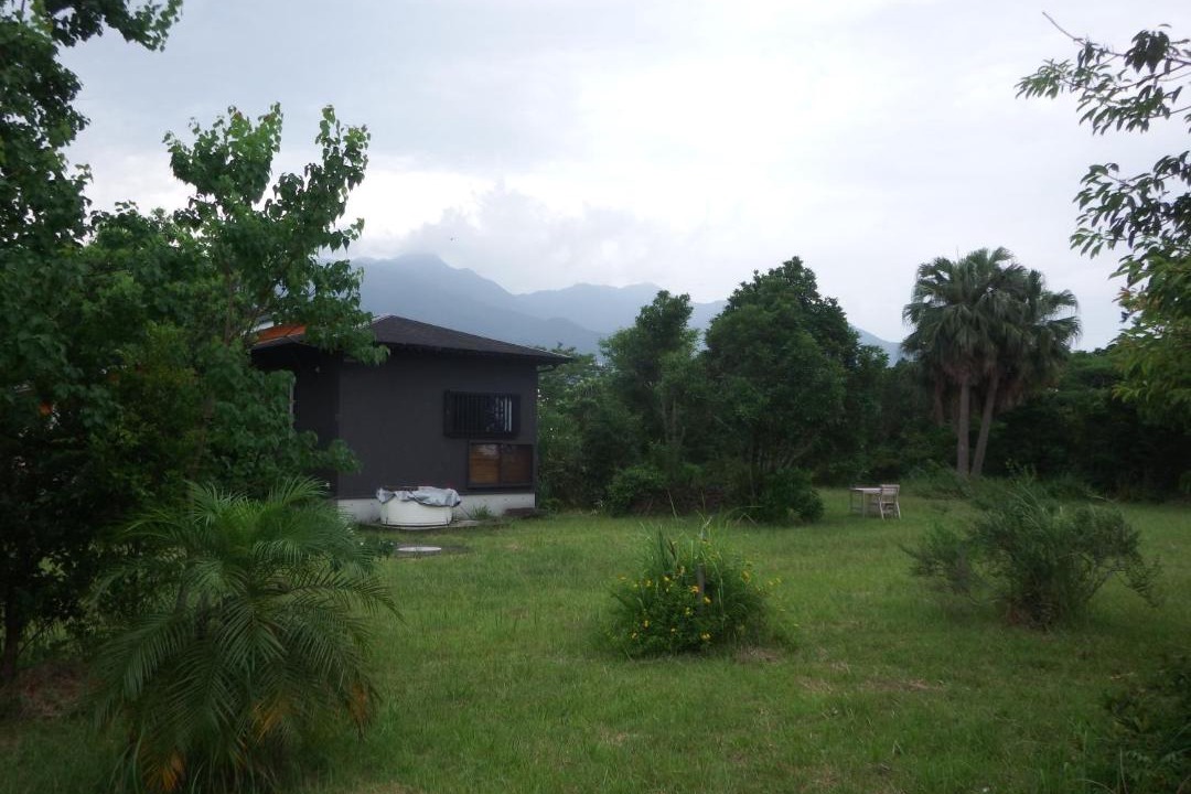 Photo of Others in Yakushima