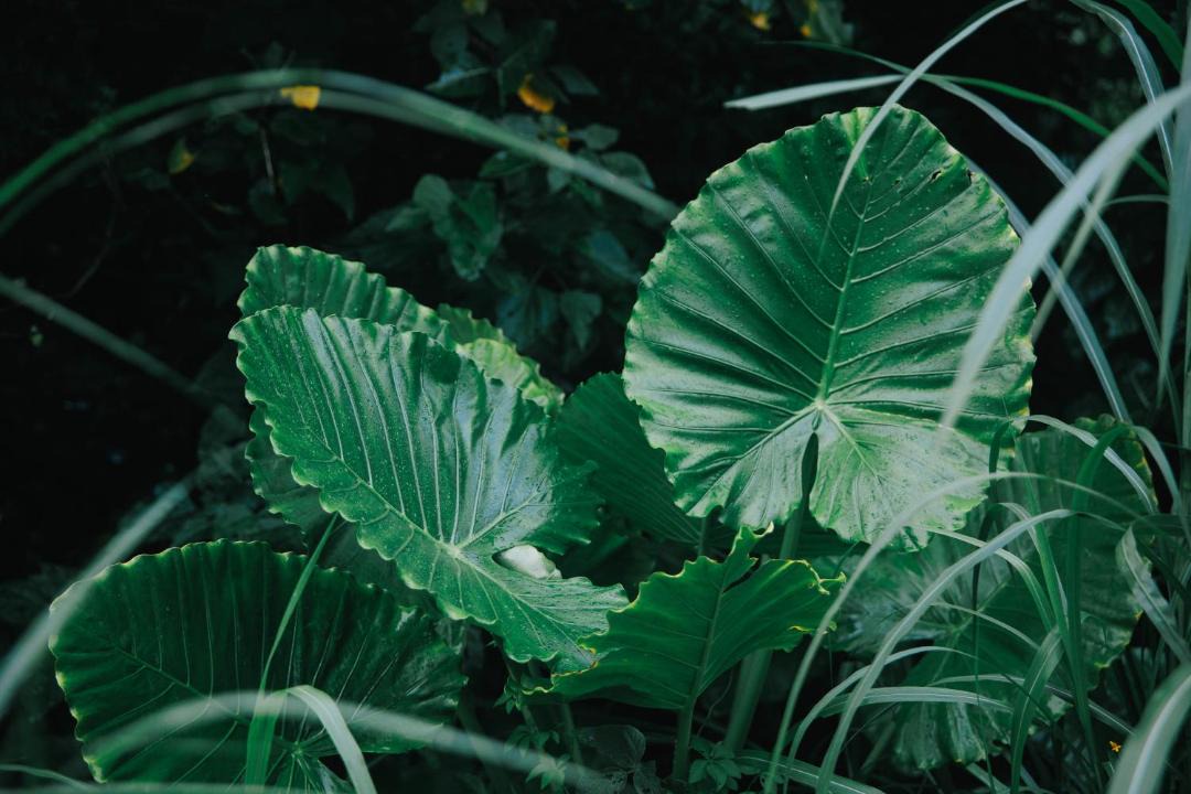 Photo of Outdoor in Nagura