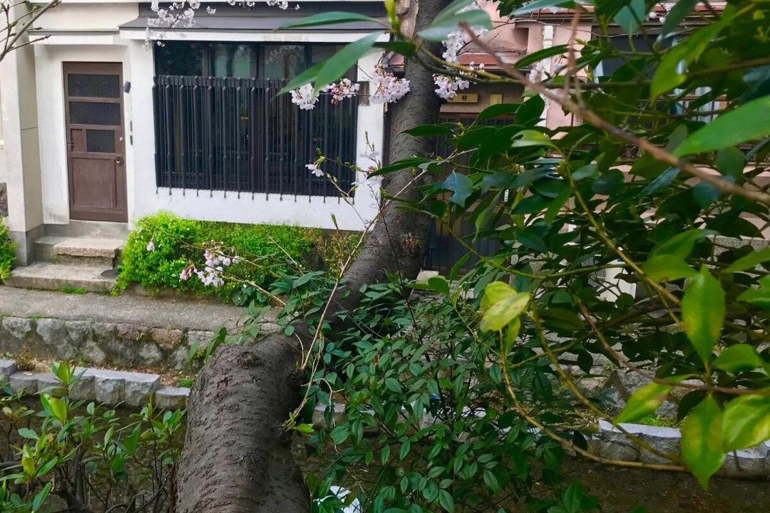 Photo of Others in Shimogyo