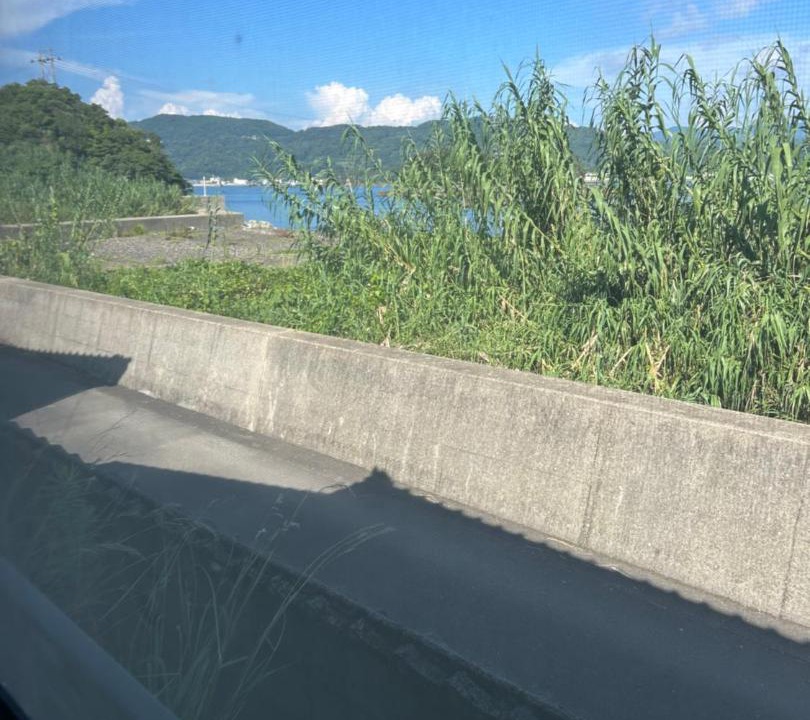 Photo of Others in Saikai