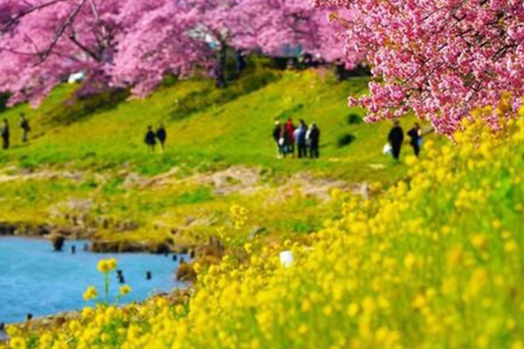 Photo of Others in Shirahama