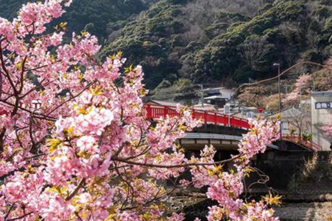 Photo of Others in Shirahama
