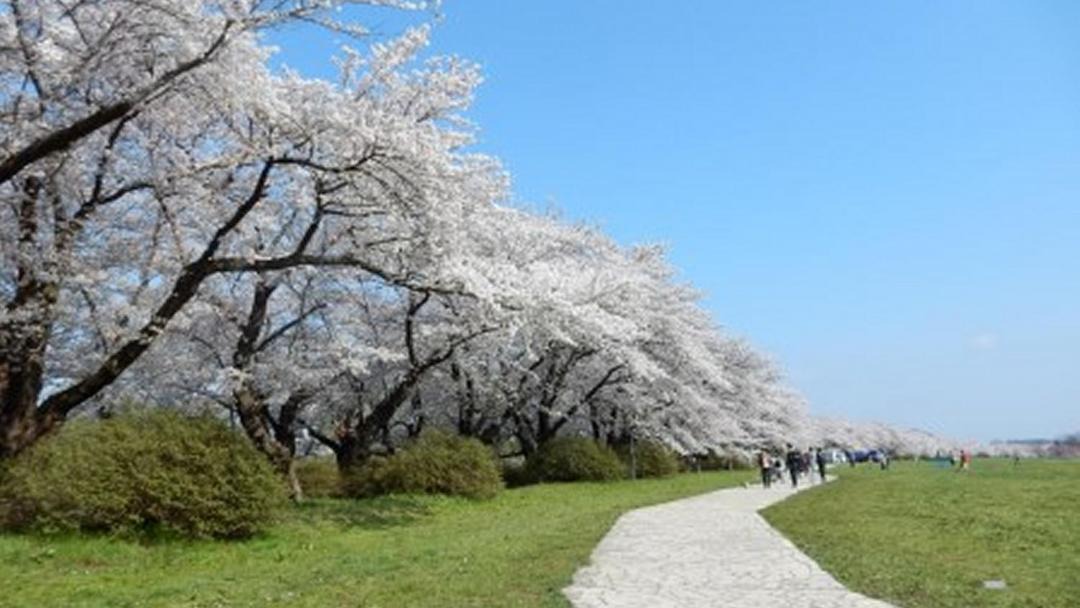 Photo of Others in Kitakami