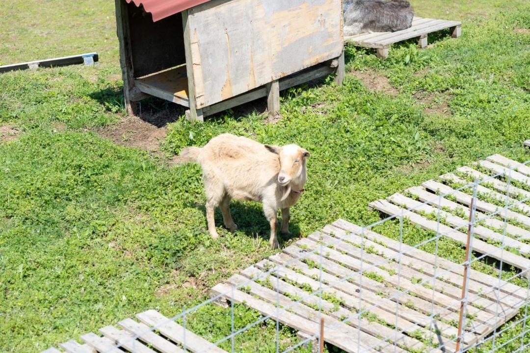Photo of Others in Ureshino