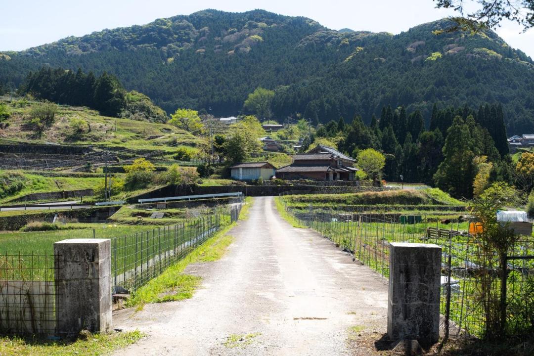 Photo of Others in Ureshino