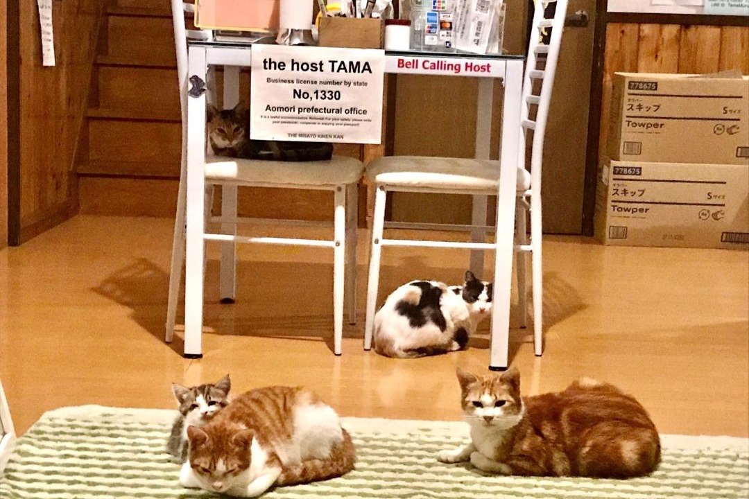 Photo of Others in Minamitsugaru-gun