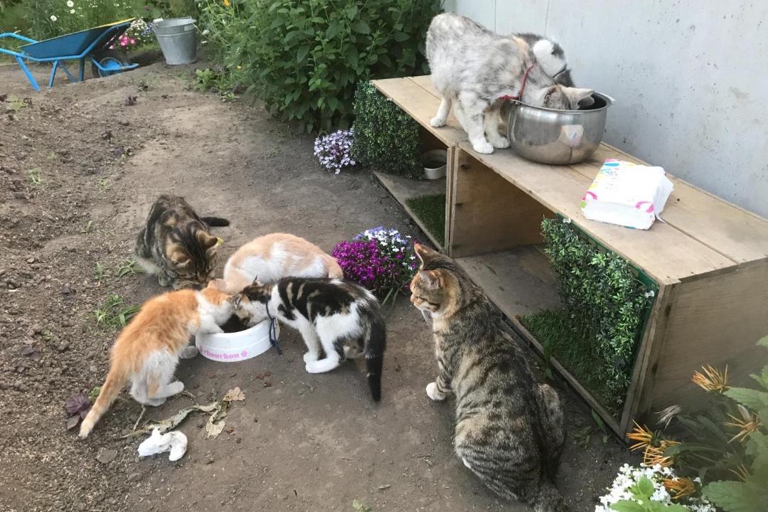 Photo of Others in Minamitsugaru-gun