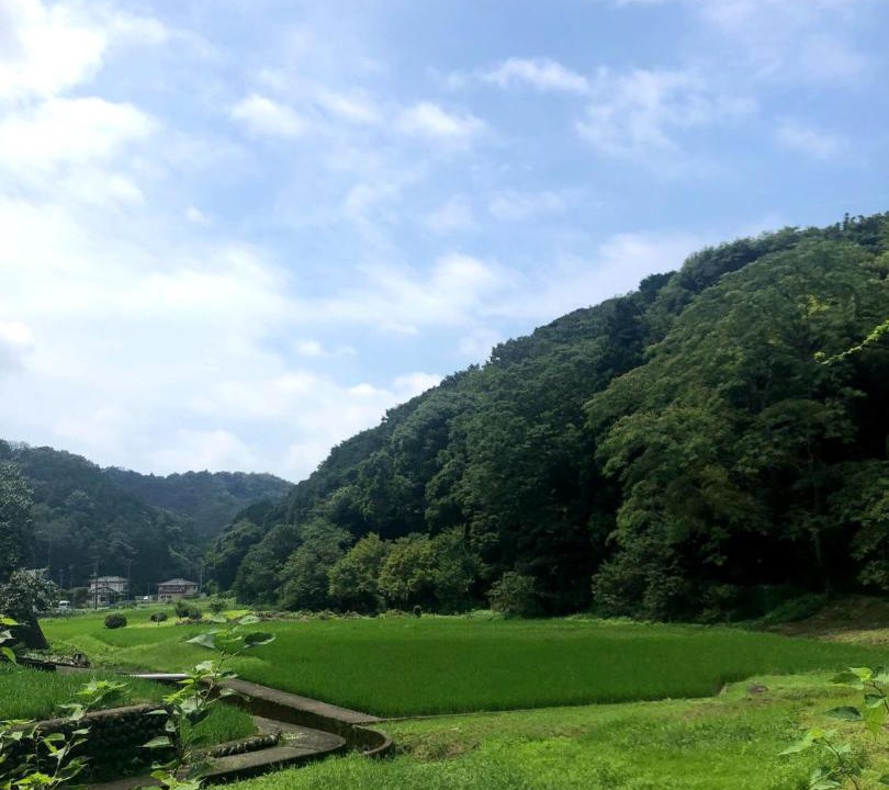 Photo of Others in Fujinomiya