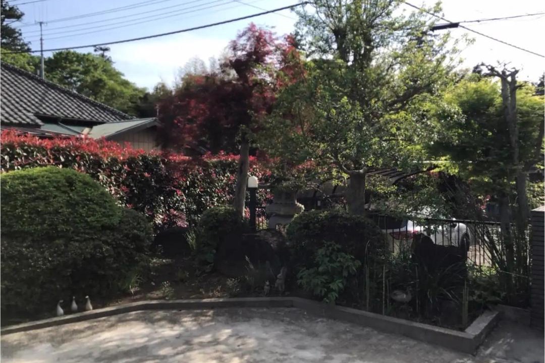 Photo of Others in Sakura