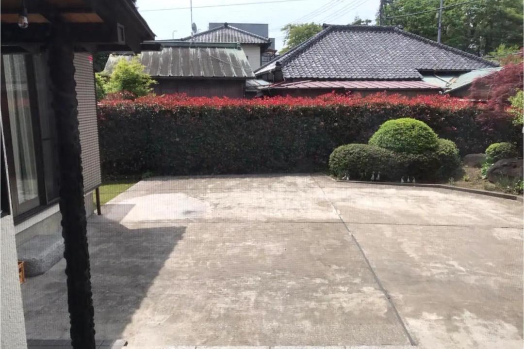 Photo of Others in Sakura