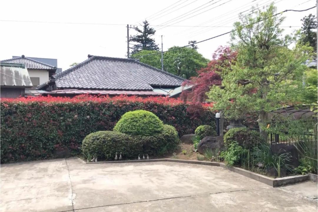 Photo of Others in Sakura