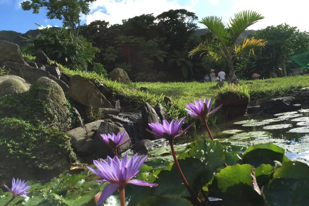 Photo of Others in Ishigaki