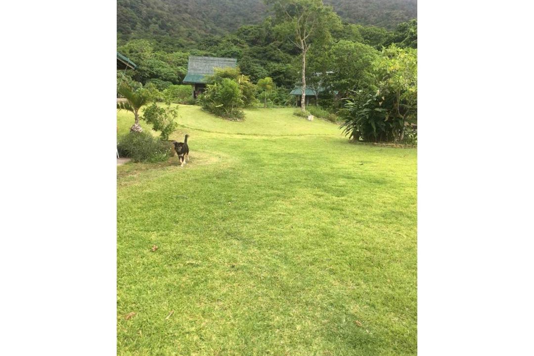 Photo of Others in Ishigaki